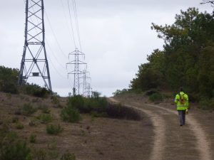 Mesures électromagnétiques - Géolinéa